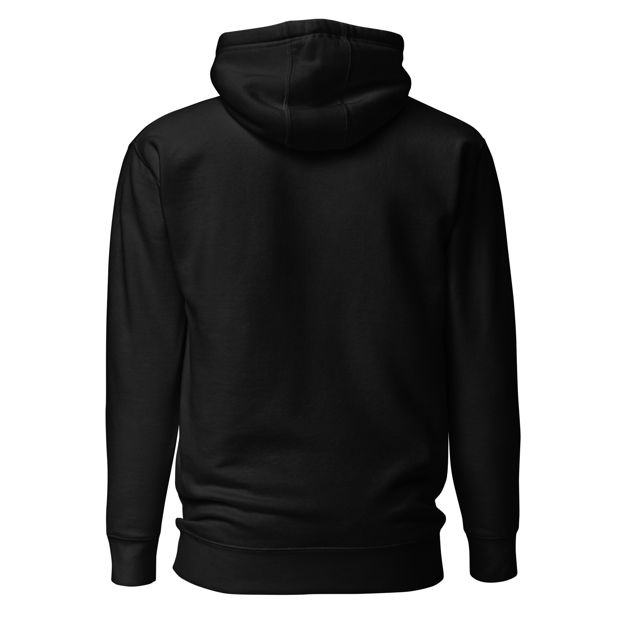 unisex-premium-hoodie-black-back-6634e6d029995.jpg